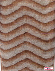 老圖樣與新傳承 無錫市美順針紡織領域的剪紙記憶